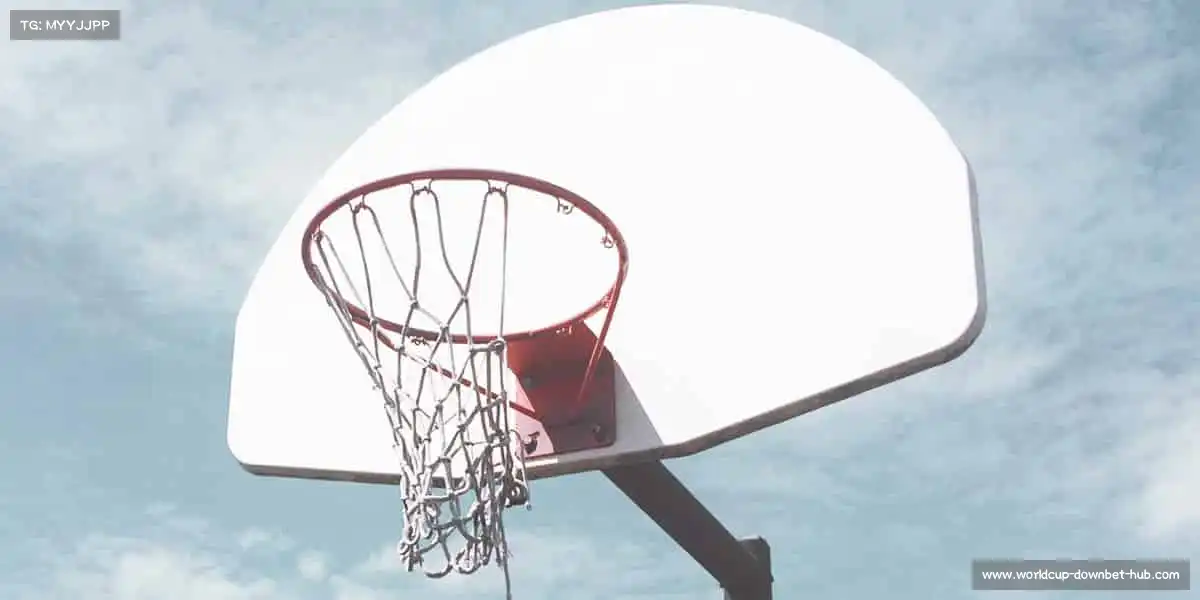 行业领先的理由